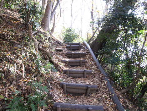 20151209hike (14)